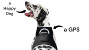 Worry-free Dog Walk with Mini Realtime GSM GPRS Waterproof Pet Tracker Size:L