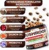 Mushroom for Dogs 170 Chews Turkey Tail Mushroom for Dogs Mushroom Supplement for Dogs Lions Mane Reishi Immunity Support Multivitamin Joint Health En