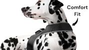 Wireless GPS Tracking Collars for Hunting Dogs Realtime Tracking Tool Size:XL